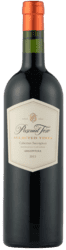 Pascual Toso - Cabernet Sauvignon Selected Vines - Mendoza