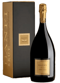 Banfi - Methodo Classico Brut MAGNUM 12,5% alk.