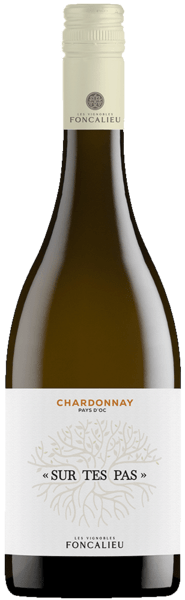 Sur Tes Pas - Foncalieu Chardonnay 2023 - Hillerød Vinkompagni