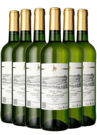 Belle Terre - Cotes de Cascogne, Blanc Sec KASSEKØB