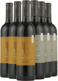 Argentina Smagekasse – 2 TOPVINE fra Las Perdices (6 flasker)