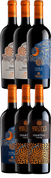 ITALIENSK SMAGEKASSE indeholdende 6 flasker TOP-klasses rødvin