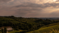 Barolo smagning | Revá Winery d. 31/10 kl. 18:00