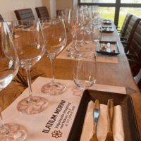 Valpolicella-smagning med Mikael Lyng d. 5/3 2026 kl. 18:00