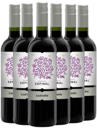 CASTAÑO DOMINIO ESPINAL MONASTRELL – YECLA