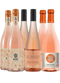 Roséfavoritter fra Loire – Smagekasse med 6 flasker fransk rosé - Hillerød Vinkompagni