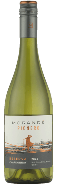 Morandé - Pionero Reserva Chardonnay 2021 13% alk.  - Hillerød Vinkompagni