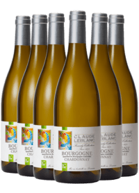Domaine Claude Leblanc - Bourgogne Blanc 2024 (6FLASKER) KASSEKØB  - Hillerød Vinkompagni