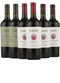 Argentina Smagekasse - Estate vine fra vinhuset Las Perdices - 6 Flasker
