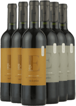 Argentina Smagekasse - TOP fra vinhuset Las Perdices - 6 Flasker