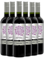 CASTAÑO DOMINIO ESPINAL MONASTRELL – YECLA